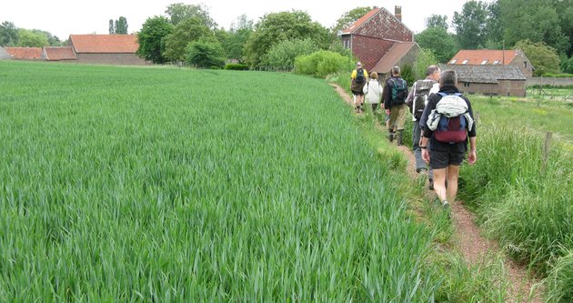 Sint-Pieters-Leeuw