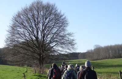 Overijse en Zuid-Dijleland