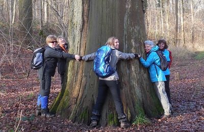 Overijse en Zuid-Dijleland