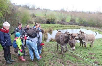 Westvlaamse Heuvelland