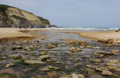 Rota Vicentina