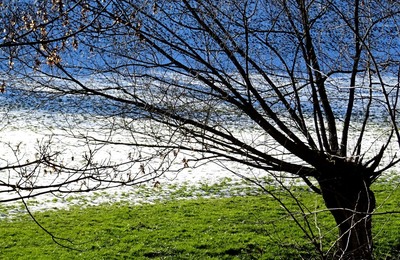 Dalhem en Blégny