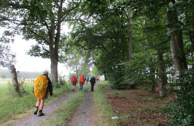 Haute-Ardenne