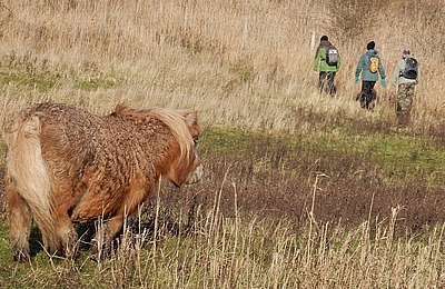 Kruibeke