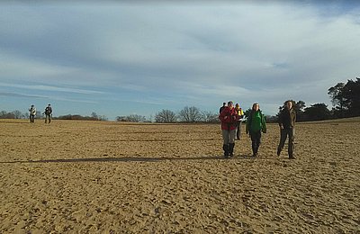 Loonse en Drunense Duinen