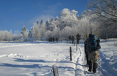 Sneeuwstappen Harz