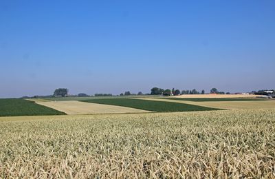 Vlaamse Ardennen