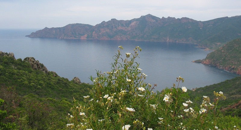 Corsica