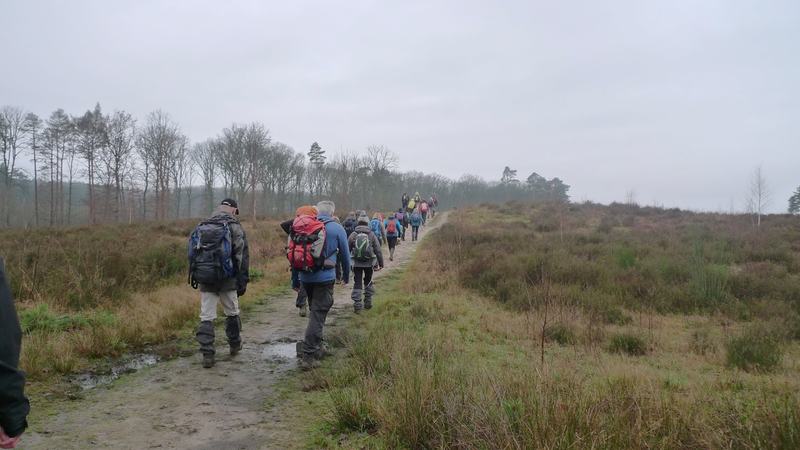 Averbode bos en heid