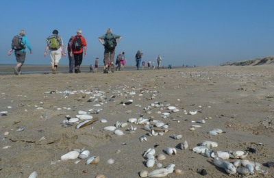 Oostende-Blankenberge