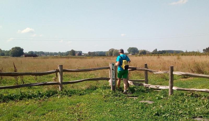 nieuwe wildernis