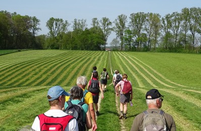 Buizingen - De Hoek/Alsemberg