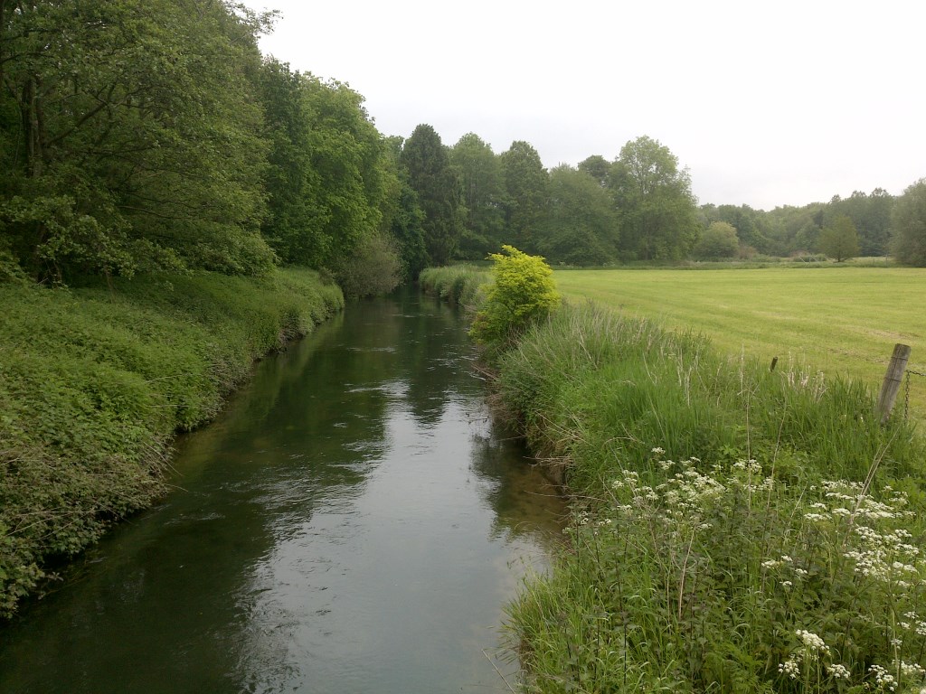 20190730_Tervuren-Waver