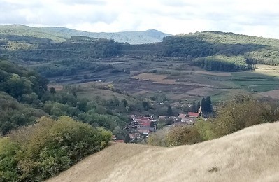 Transilvania