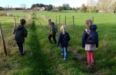 Vlaamse Ardennen