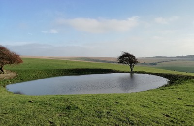 South Downs