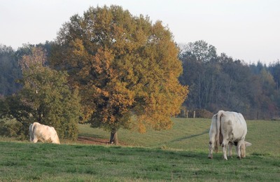 Pays de Sedan