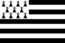 Vlag Bretagne