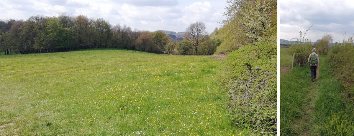 Ourthe en Aisne