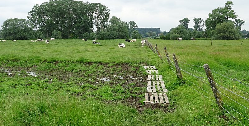 Moerbeke