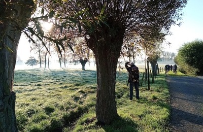 Moerbeke