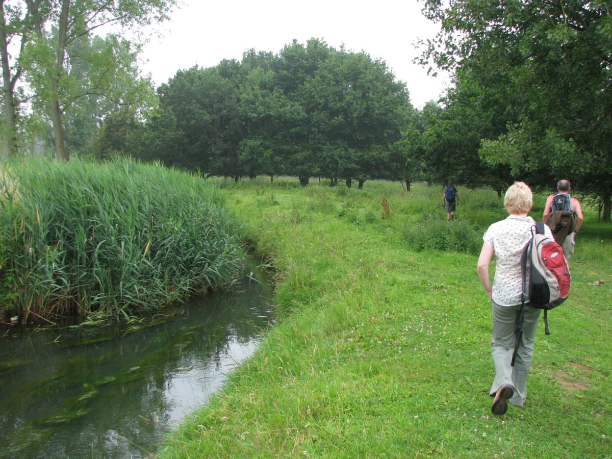 Kloosterbeemden