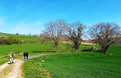 Foto-Veldweg