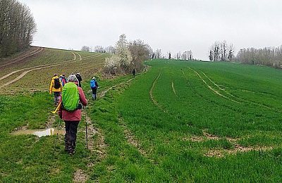 Laonnais