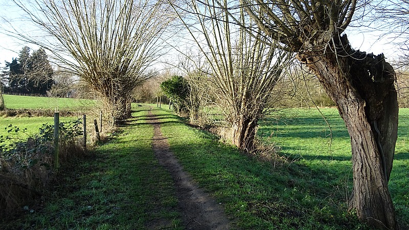 ANeder-over-Heembeek