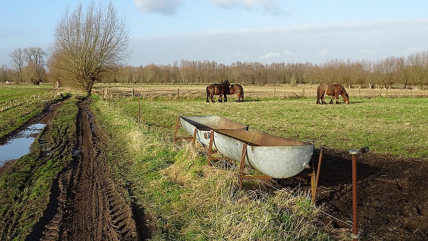 langs trage wegen