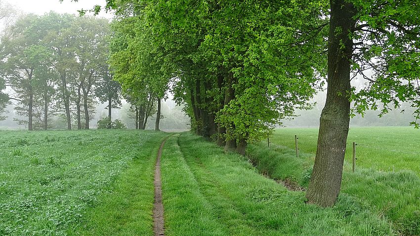 langs trage wegen