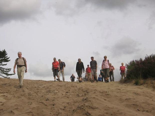 In de Kalmthoute heide - 1 september 2013