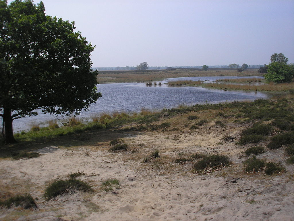 Kampina