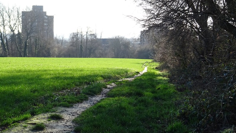 Haren-Schaarbeek-Vilvoorde